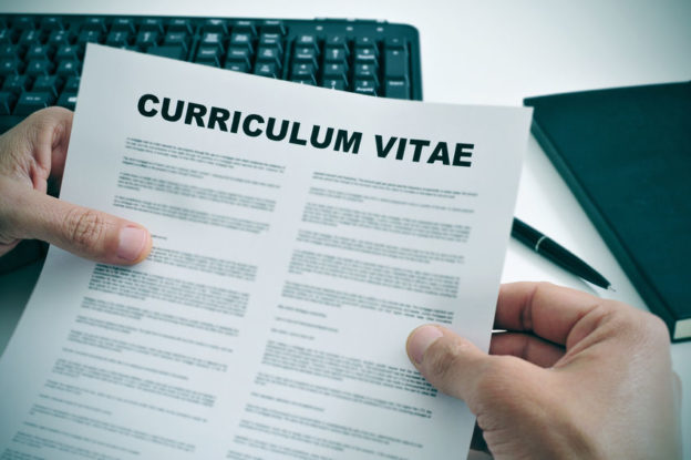 Curriculum Vitae mit Pfiff